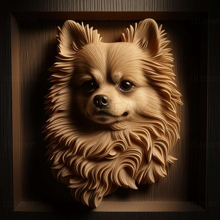 3D модель Поморская собака (STL)